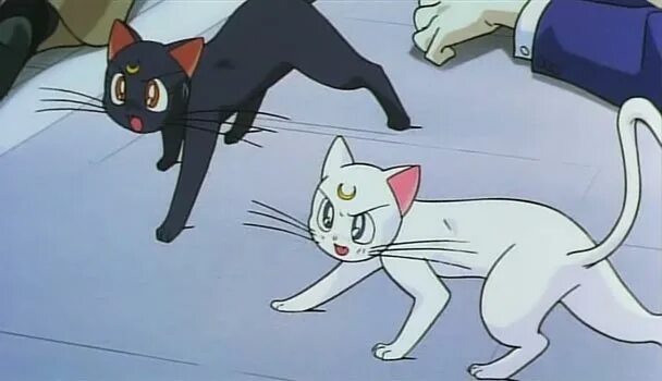 сейлормун опасные. сейлор мун усаги и мамору. красавица-воин сейлор мун: опасные цветы. красавица-воин сейлормун: опасные цветы.