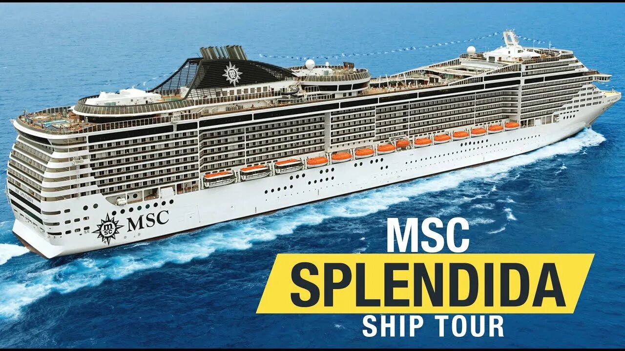 Msc где находится