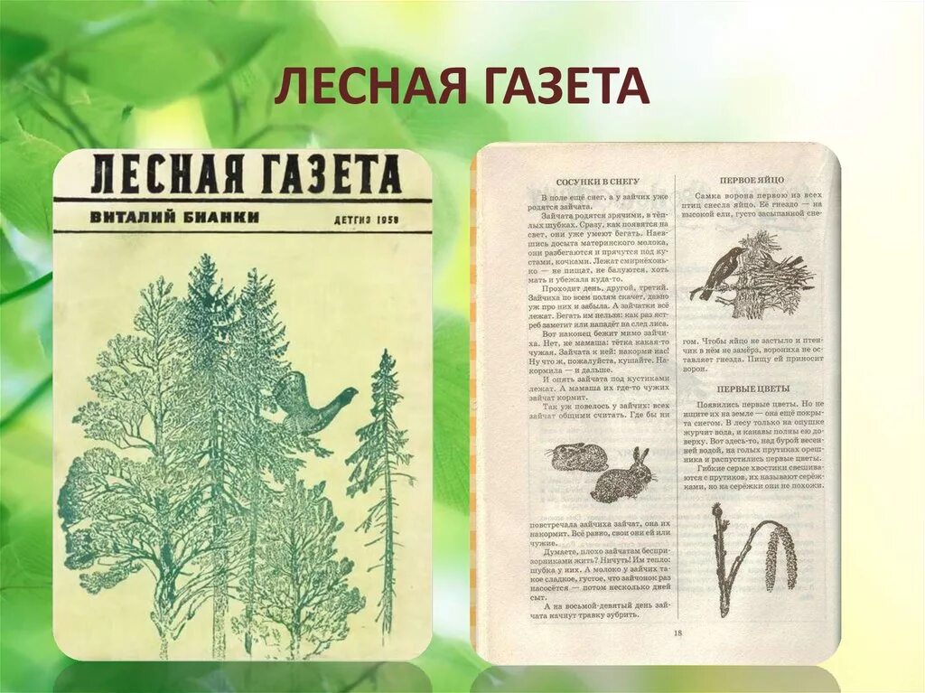 Лесная газета автор. Лесная газета 4 Бианки. Литературное чтение Бианки Лесная газета. Бианки в. в. "Лесная газета". Бианки Лесная газета иллюстрации к книге.