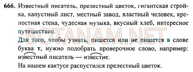 Русский язык 5 класс страница 121 упражнение 666. Русский язык 5 класс упражнение 666 страница 666. Русский язык 6 класс упражнение 666