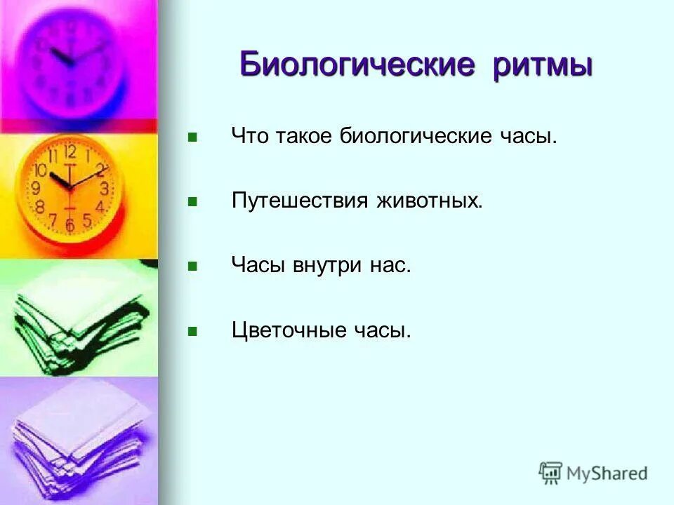 Биологические часы 5 класс