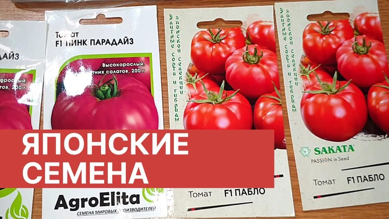 Семена томатов японской селекции Саката. Семена томатов фирмы Гавриш. Семена томатов 2022. Фирма Гавриш семена томатов каталог. Каталог томатов на 2024 год