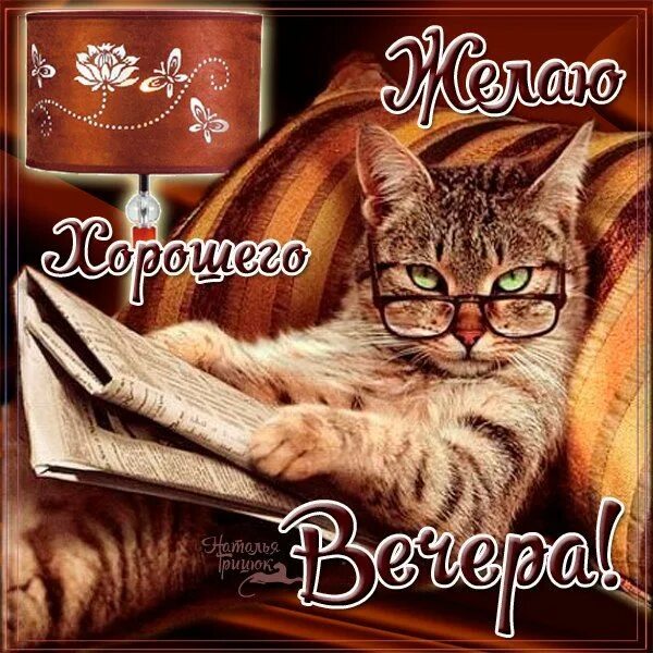 Вечера с котиком 1. Хорошего вечера кот. Добрый вечер с котиками. Открытки хорошего вечера с котиками. Добрый вечер коты.