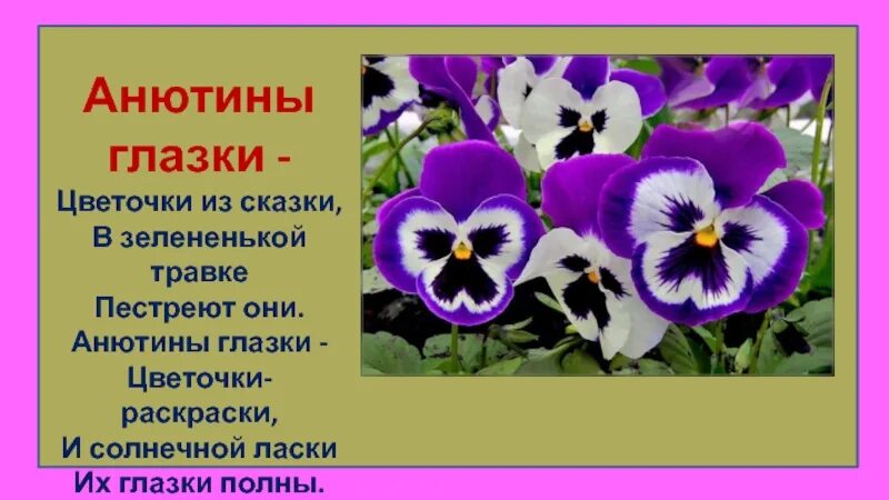 Растение имя прилагательное