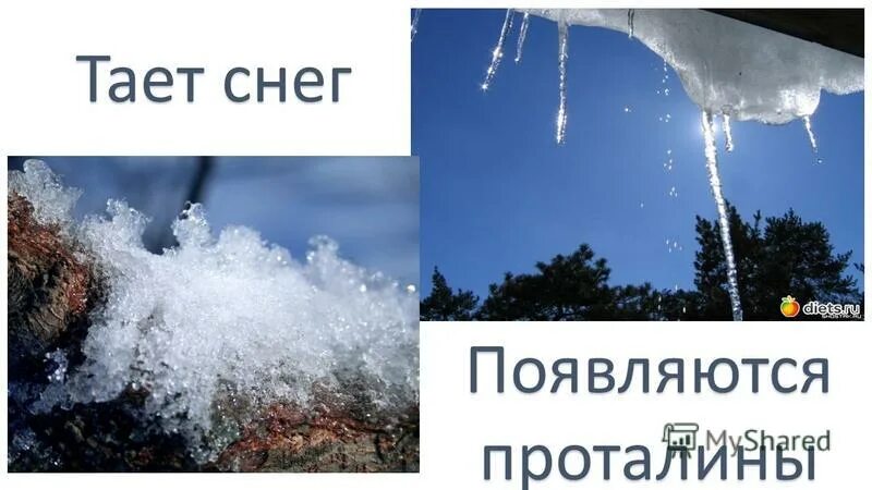 Самый плотный снег образуется. Самый плотный снег образуется