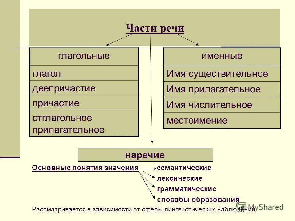 Именные и глагольные части речи