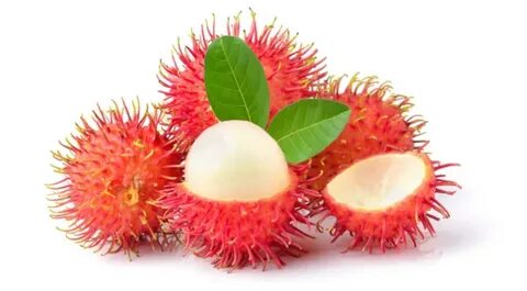 Rambutan fz шаблон кк