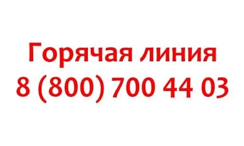 Аптека плюс номер горячей линии