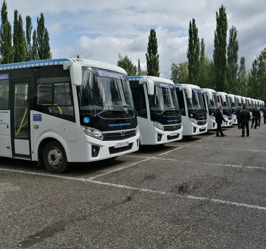 Автобус Башавтотранс Стерлитамак. Башавтотранс Стерлитамак автовокзал. Автобусы Башавтотранс Уфа. Маршрутки Башавтотранс Стерлитамак. Пригородные перевозки автобусами