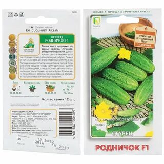 Сорт огурцов реванш