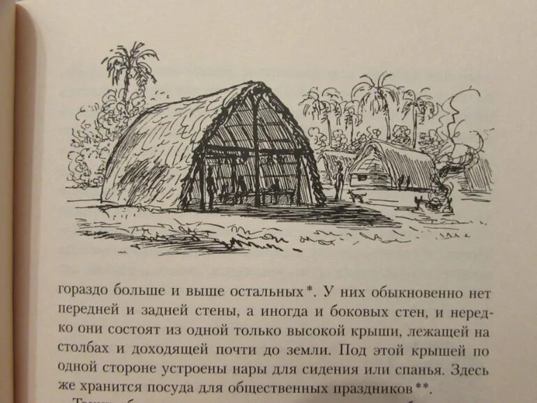 Как маклай ходил в деревню. Рисунки маклая. возвращайся к нам маклай рисунок. миклухо -маклай иллюстрации. миклухо маклай путешествия.