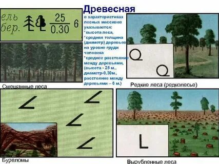 Найдите площадь лесного массива