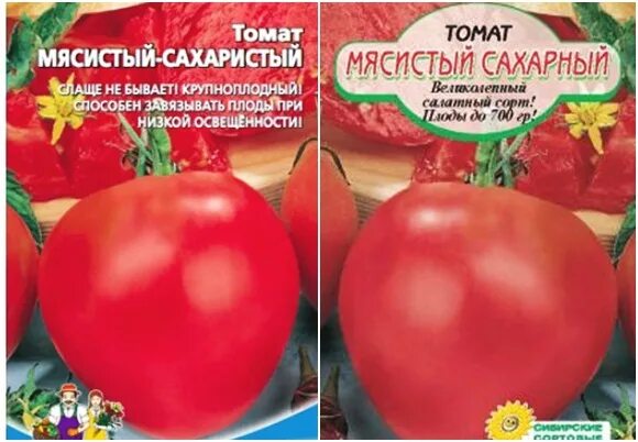 Томат мясистый сахаристый характеристика. Томат букет сибири f1. Томат мясистый сахарный семена. Семена томат "штамбовый крупноплодный. Мясистые томаты.