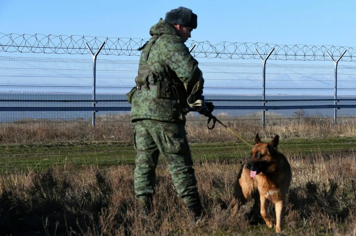 Пограничники России на границе. Пограничники России на границе с Украиной. Пограничник на границе. Пограничные заграждения.