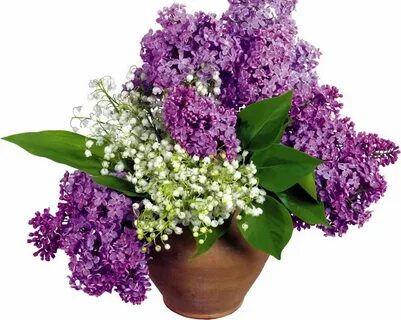 Открытка с днем рождения женщине сирень