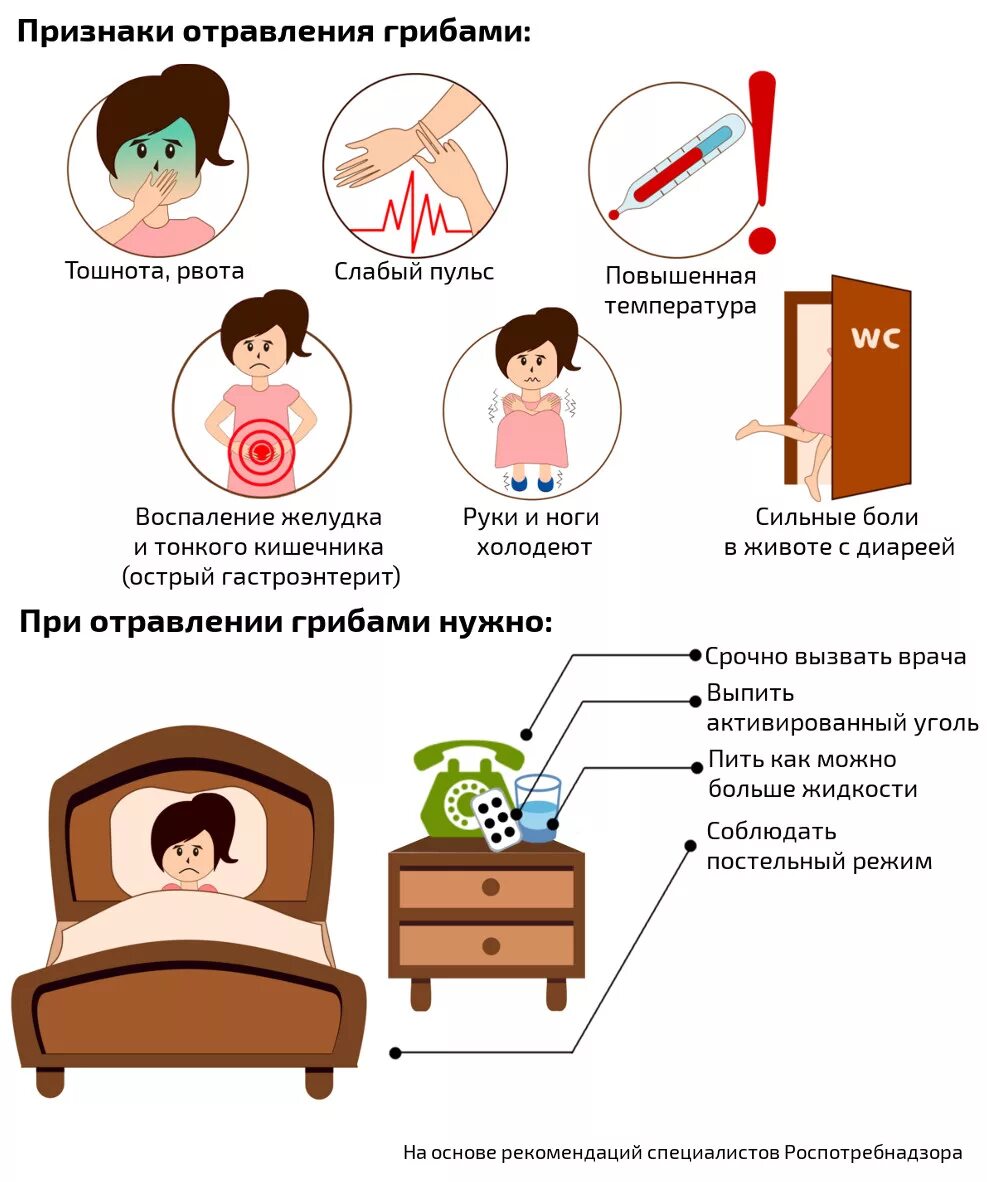 Ранние симптомы отравления грибами. Первые признаки отравления грибами. Симптомы при отравлении грибами. Признаки при отравлении грибами.