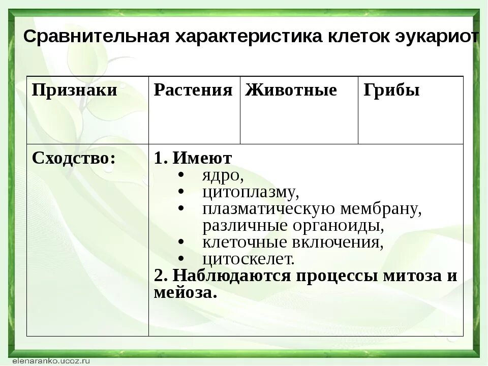 Сравнительная характеристика грибов. Сравнение клеток таблица. Сравнение клеток грибов растений и животных таблица. Сравнительная характеристика растительной животной и грибной клетки. Клетки растений и животных различия сходство