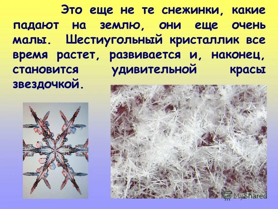 Снежинка просклонять по падежам. Снег это мужской род?. Снежинки какие. Снежинки прилагательное. Снежинки какой род.