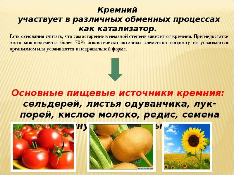 Презентация кремний и его соединения 9 класс. Кремний и его соединения презентация. роль кремния в жизни человека. кремний микроэлемент. кремний и его соединения 9 класс презентация.