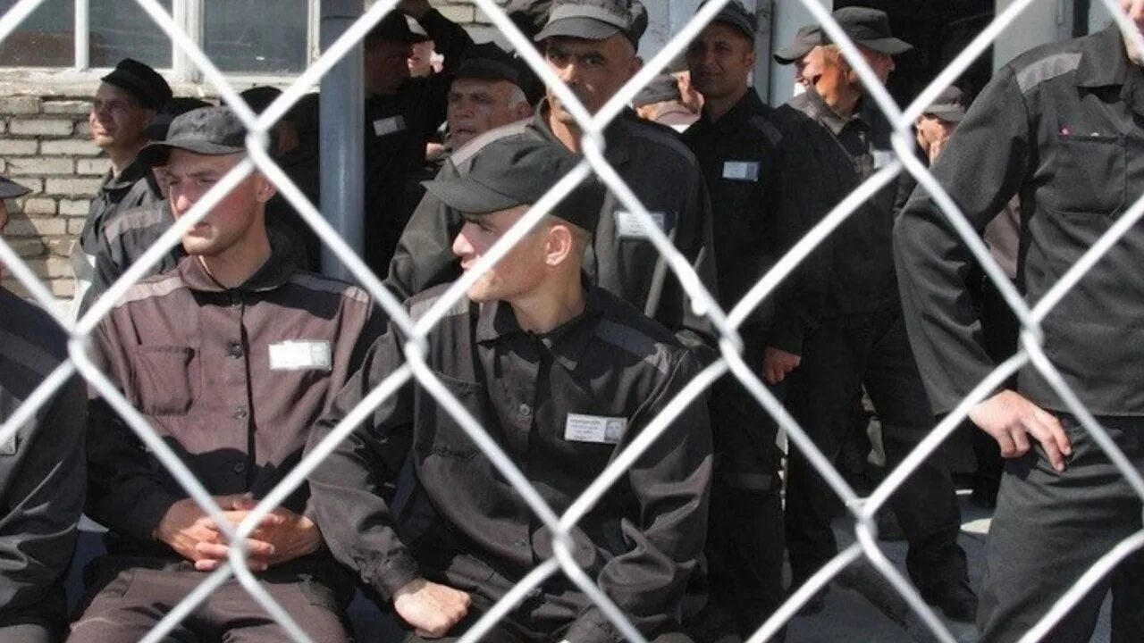 Исправительное учреждение исправительная колония no 5. Ик-5 металлострой. исправительная колония. исправительные учреждения. колония для осужденных.