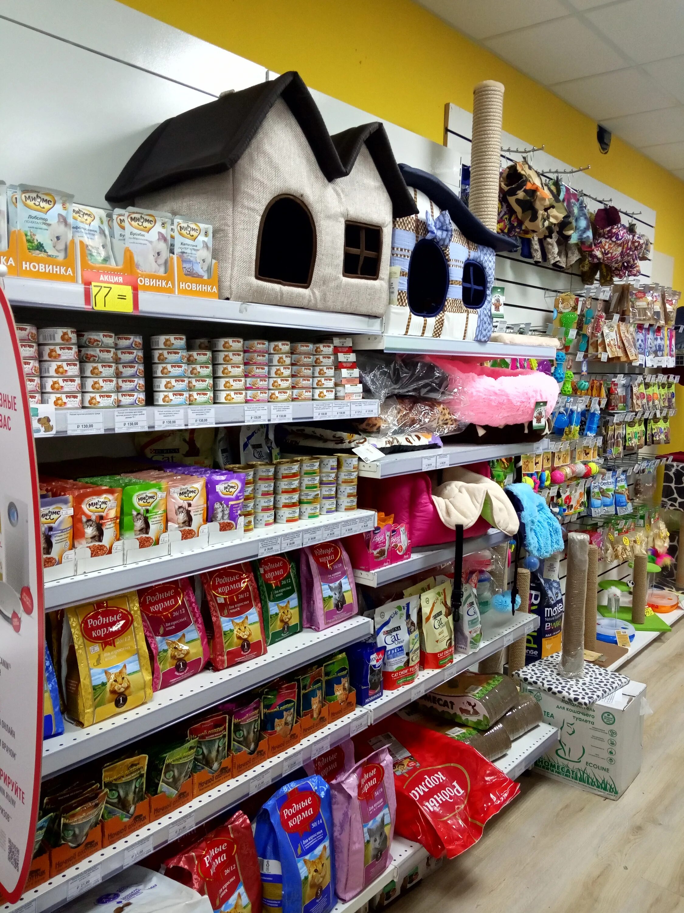 зоомагазин. зоомагазин животных. магазин для животных petshop. доктор столетов аптека питер. зоомагазин.