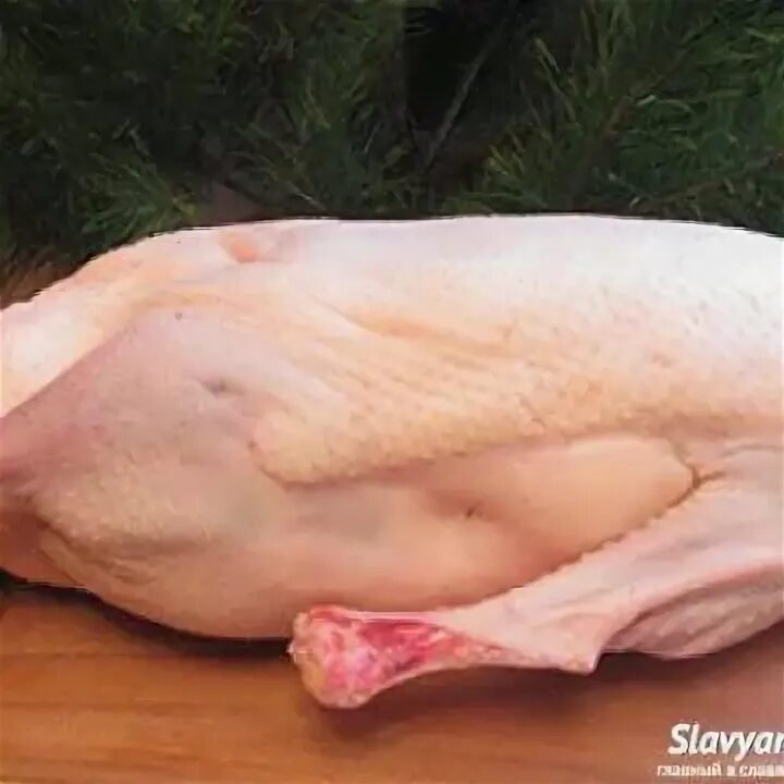 Индейка, утка мясо. Гусиная тушка. Гусь замороженный. Большой трафарет тушки гуся. Тушка гуся спб.