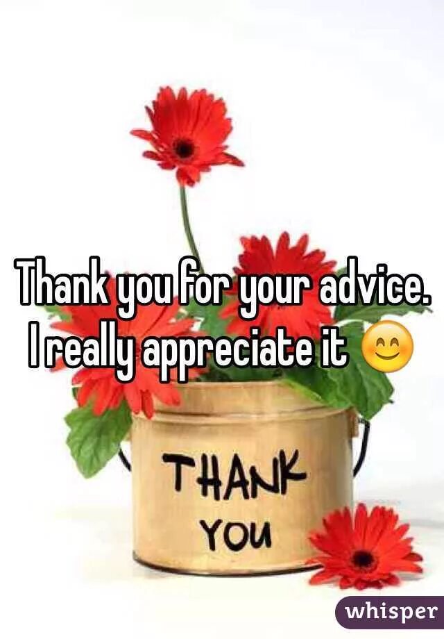 I appreciate your. I appreciate. appreciate it. i appreciate it. i appreciate you.