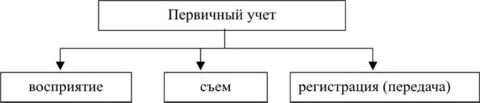 Организация первичного учета. Схема бухгалтерии. Первичный учет состоит. Первичный учет предназначен:. Организация ведения первичного учета