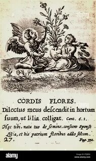 27. Cordis Flores. 