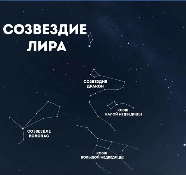 Полярная медведица созвездие. Созвездие похожее на медведицу. Арктур созвездие волопаса. Ursa minor созвездие. Созвездие похожее на медведицу.