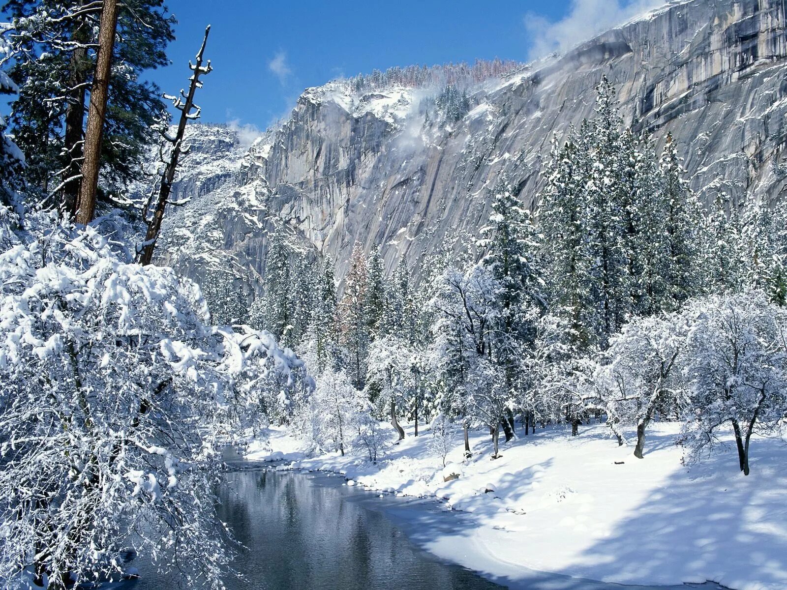 Зима. Природа зимой. Снежный пейзаж. Красивая зимняя природа.