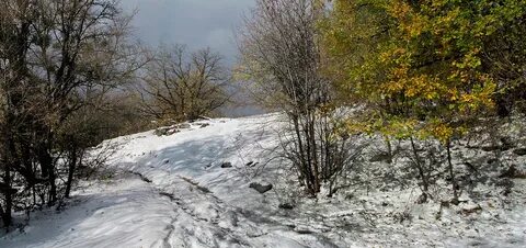 Юг зимой и осенью
