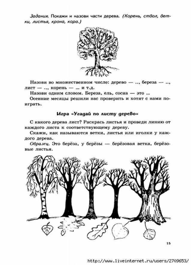 Логопедические задания средняя группа. Логопедические задания на тему деревья. Деревья домашнее задание логопеда. Логопедическое задание кустарники и деревья. Логопедические задания на тему деревья и кустарники.