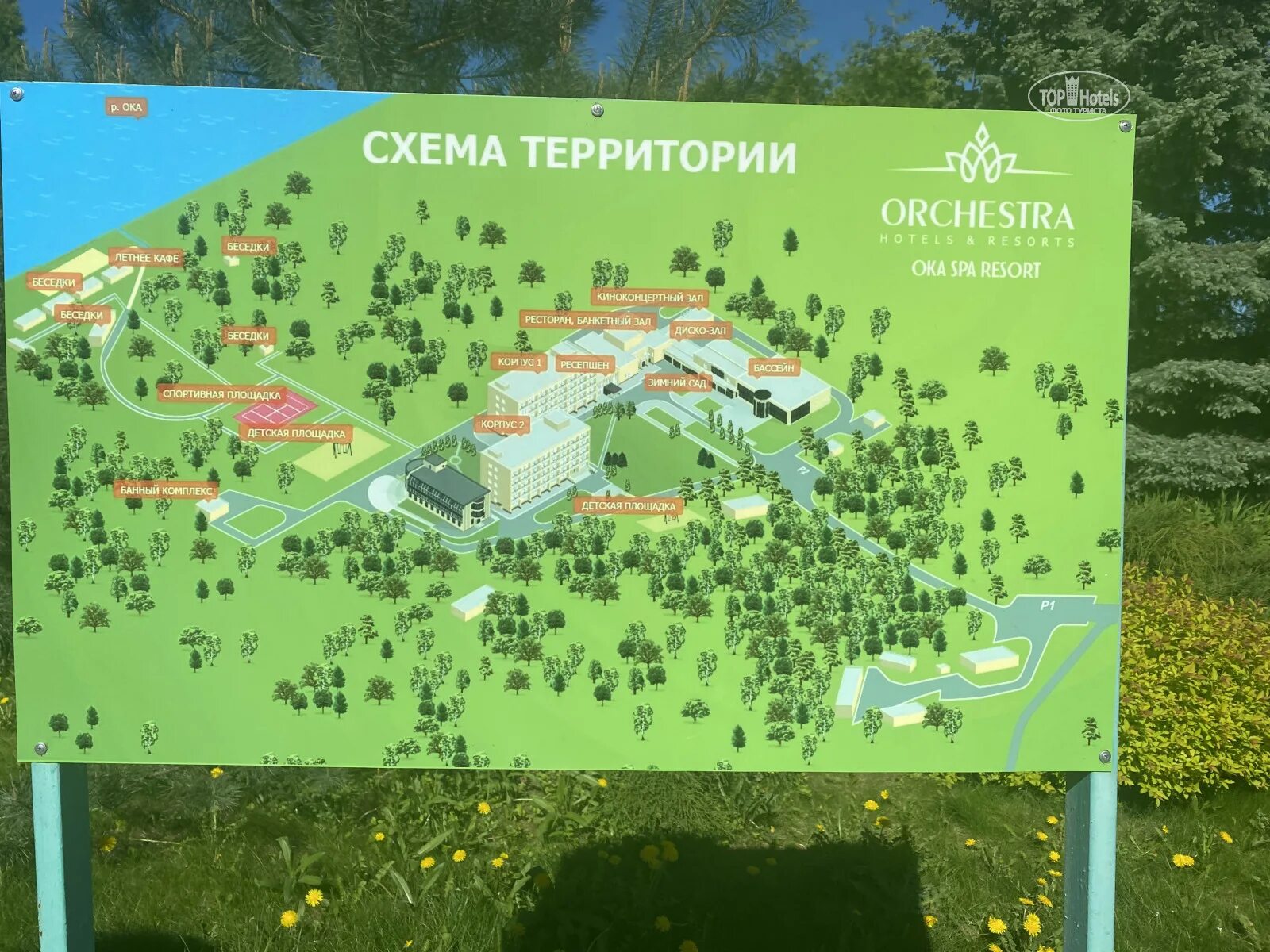 Orchestra oka spa resort. Orchestra oka spa resort» / студия номер олзввы.