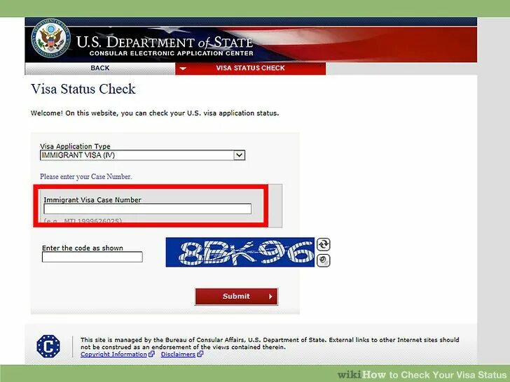 Visa status. Visa check. Case number Грин карта 2023. Что такое номер кейса в Грин карте. Visa checks