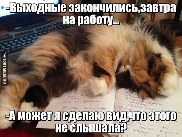 вот и кончились праздники. последний выходной. выходные закончились пора на работу. открытки праздники закончились. вот и закончились выходные.