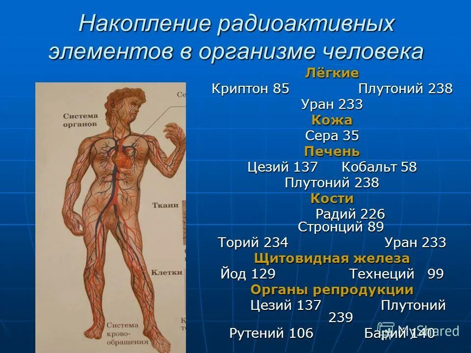 Радиоактивные изотопы кальция