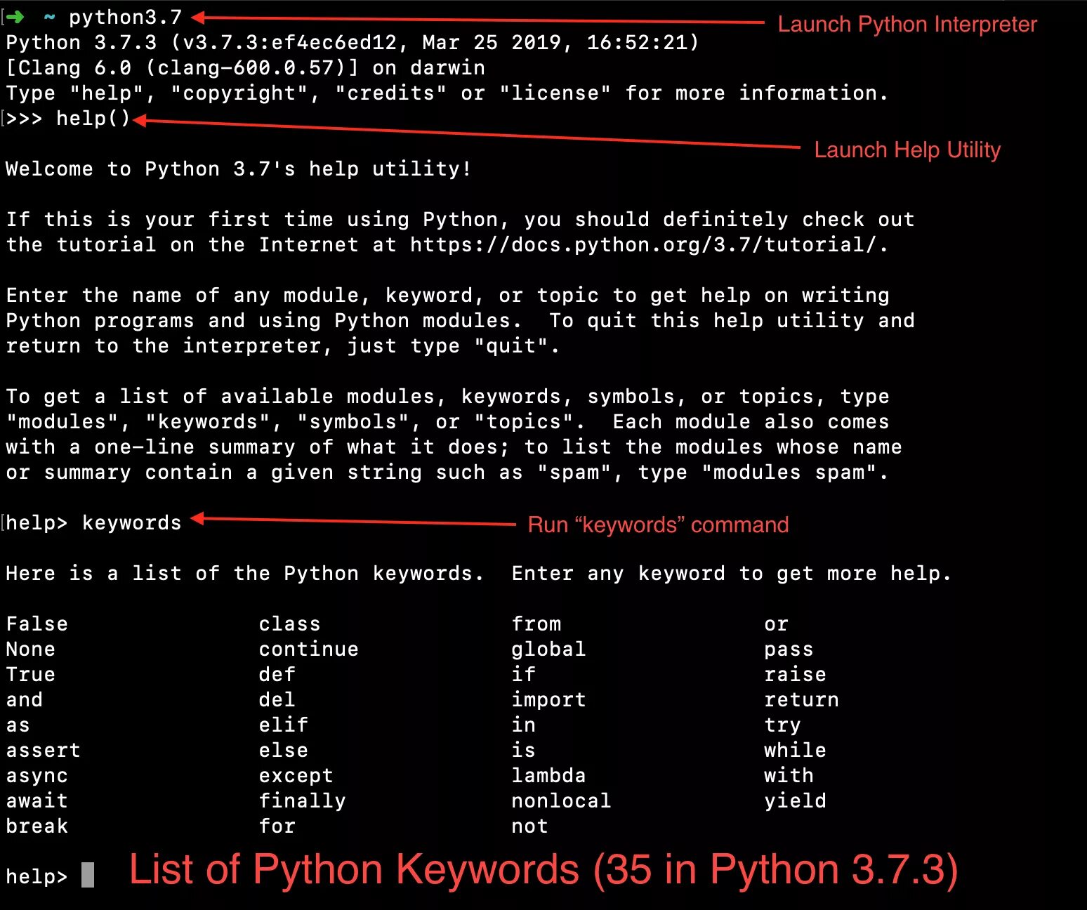 Python launch. Интерпретатор питон 3. help питон. операции в python 3. python keywords.