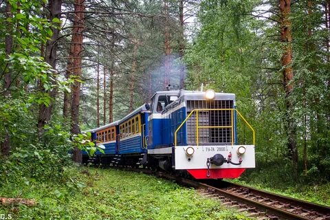 Ярославская детская железная