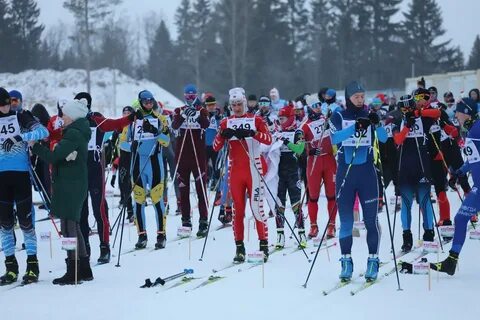 Новости спорта лыжи