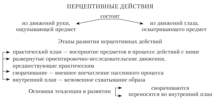 Построение перцептивного образа