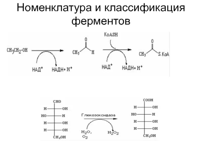 Оба фермента. Принципы классификации и номенклатуры ферментов. Номенклатура и классификация ферментов биохимия таблица. Принципы номенклатуры и современной классификации ферментов. Номенклатура ферментов биохимия.