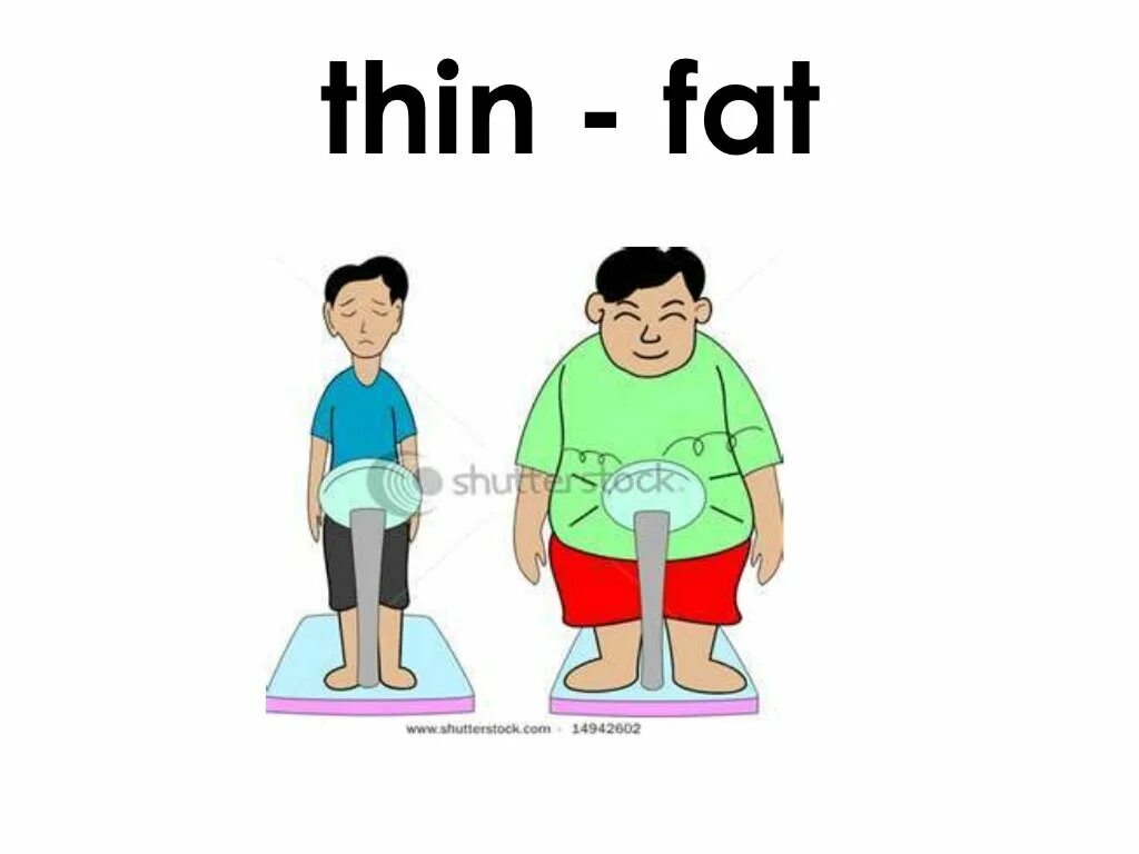 Tall low. Thin fat для детей. Thin картинка. Slim and fat рисунок. Fat на английском.