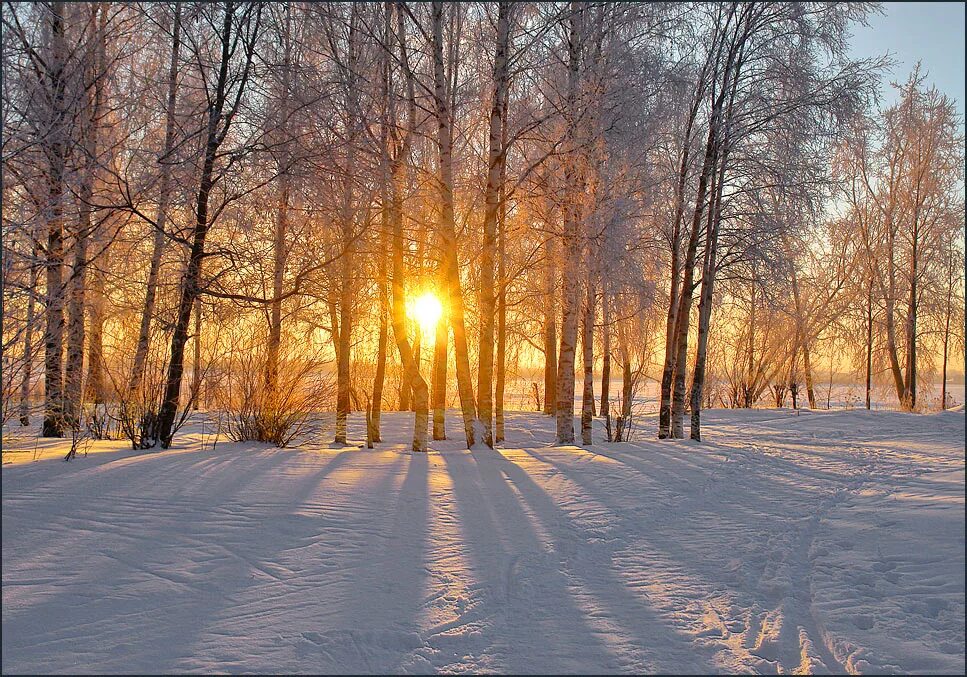 Проявить январь. Февраль природа. Зима январь. Январь картинки. Февраль солнце.