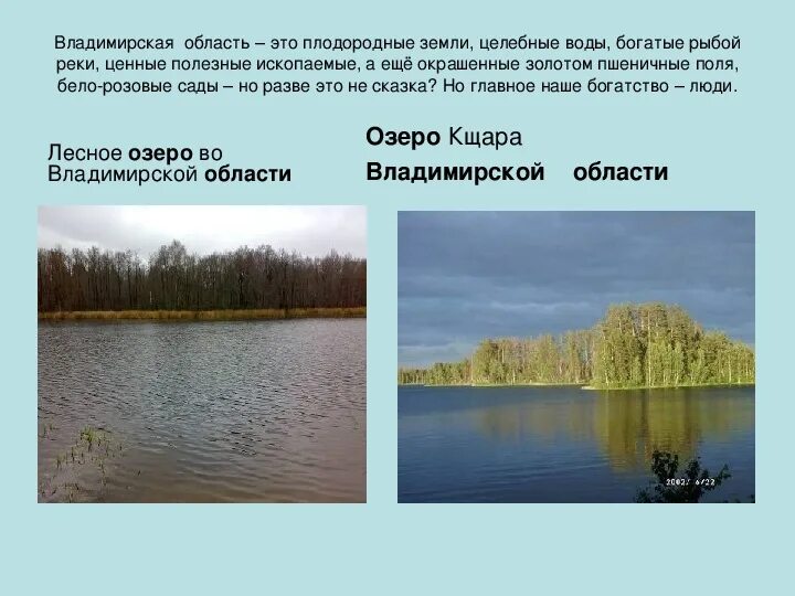 Водные богатства владимирской области. Особенности природы Владимирской области 4 класс. Природа Владимирской области презентация. Природа Владимирской области проект. Вывод о Владимирской области.