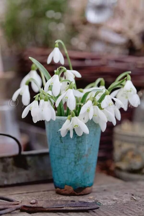 Order spring. Весенние цветы керамика. Фото весны цветы из пинтереста. Весенний обмен.