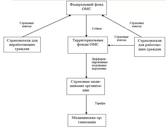 Структура фонда ОМС схема. Структура фонда обязательного медицинского страхования РФ схема. Федеральный фонд социального страхования РФ схема. Структуру управления фонда обязательного медицинского страхования.