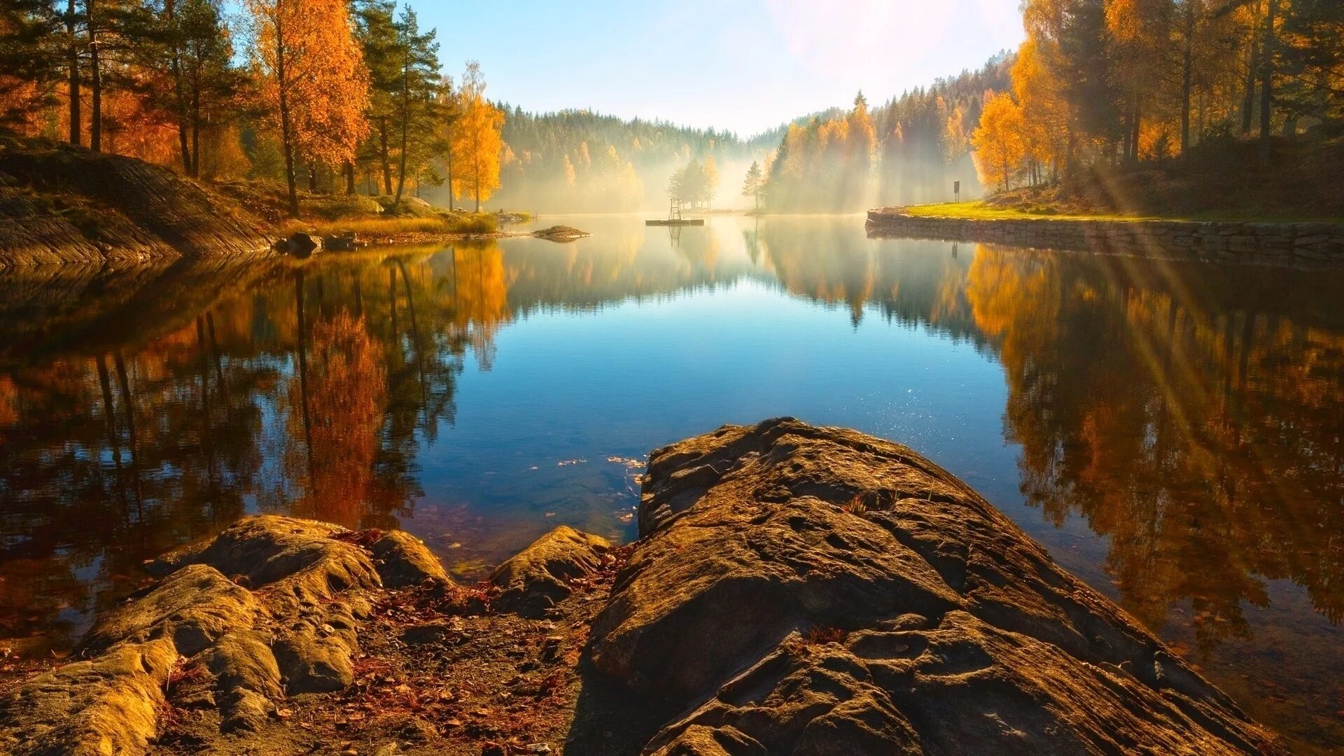 Вся природа и лес и вода. Природа. Пейзажи природы. Озеро в лесу. Осенний лес и озеро.