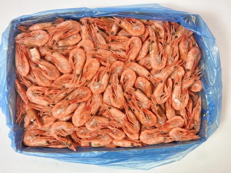 креветка мурманская 90+ фото. креветка 90 фото. креветка северная 250+. креветка северная в/м 90/120. креветка 90 фото.