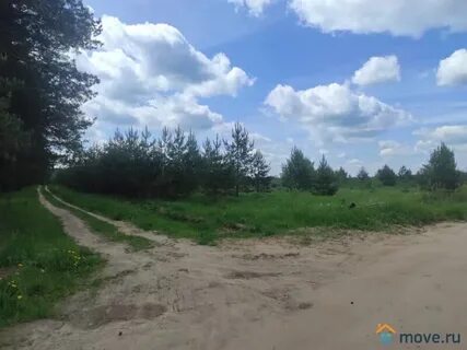 Участок 8 га